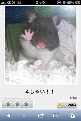 動物のboketeを貼るトピpart6