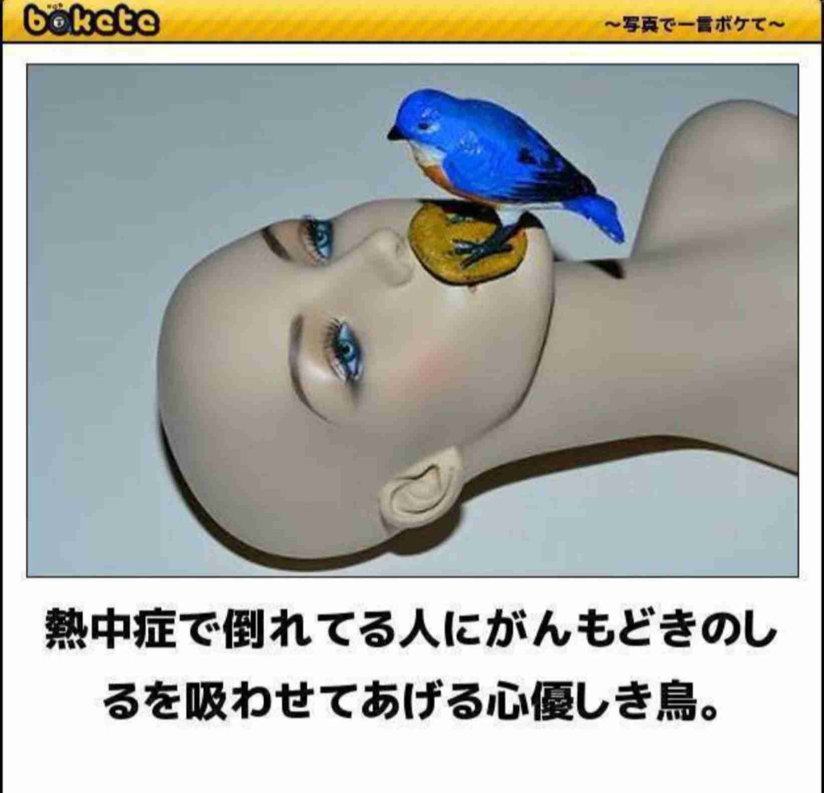 動物のboketeを貼るトピpart6