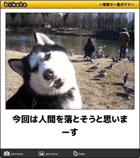 動物のboketeを貼るトピpart6