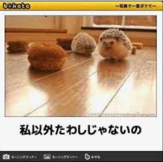 動物のboketeを貼るトピpart6