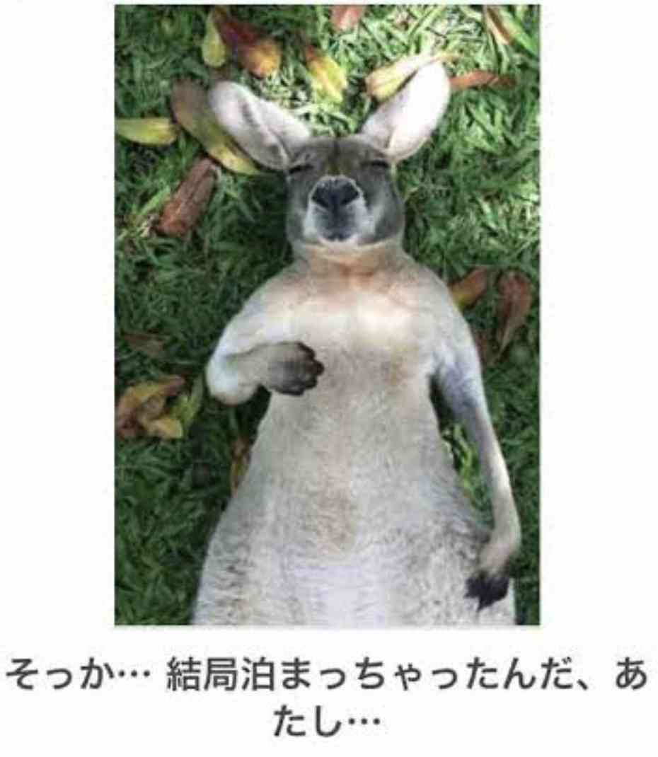 動物のboketeを貼るトピpart6