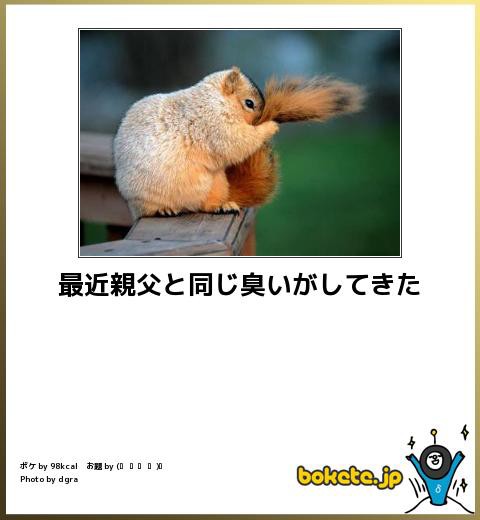 動物のboketeを貼るトピpart6