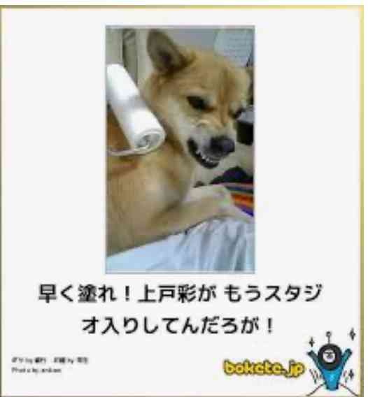 動物のboketeを貼るトピpart6