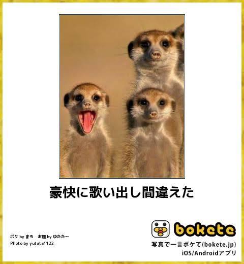 動物のboketeを貼るトピpart6