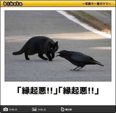 動物のboketeを貼るトピpart6