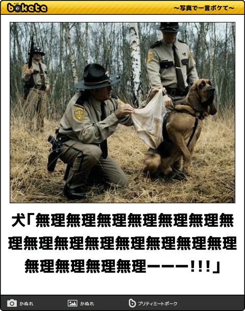動物のboketeを貼るトピpart6