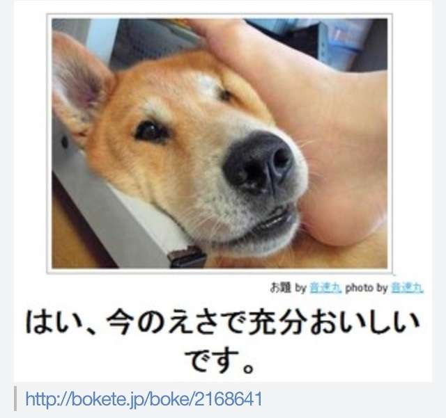 動物のboketeを貼るトピpart6