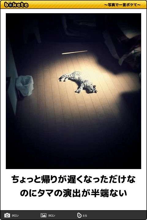 動物のboketeを貼るトピpart6