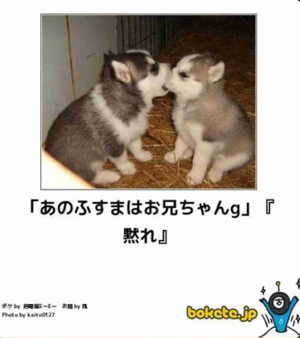 動物のboketeを貼るトピpart6