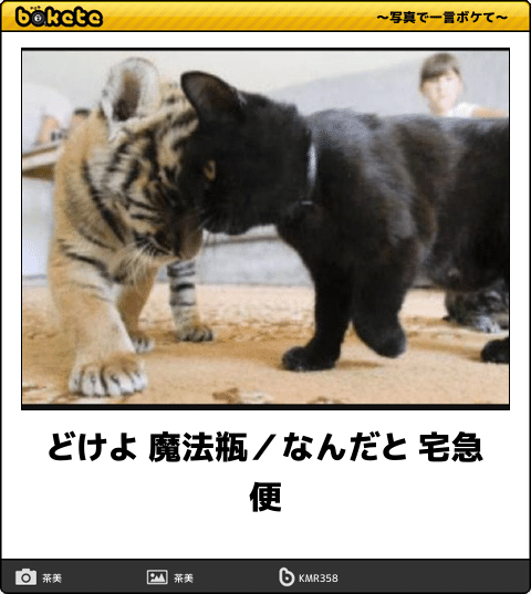 動物のboketeを貼るトピpart6