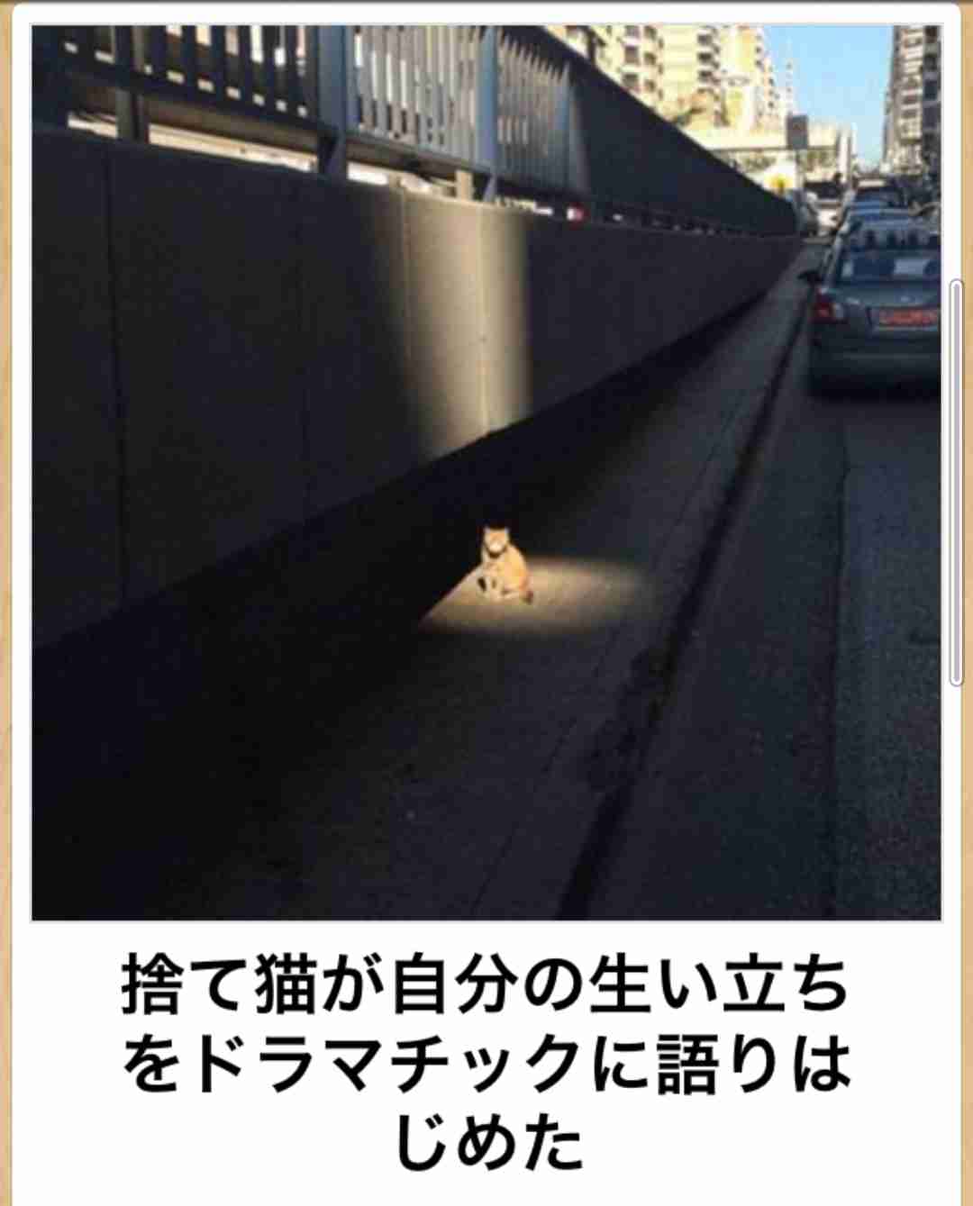 動物のboketeを貼るトピpart6