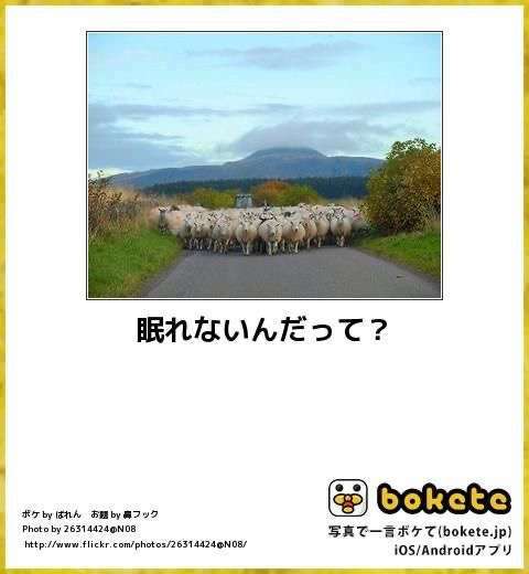動物のboketeを貼るトピpart6