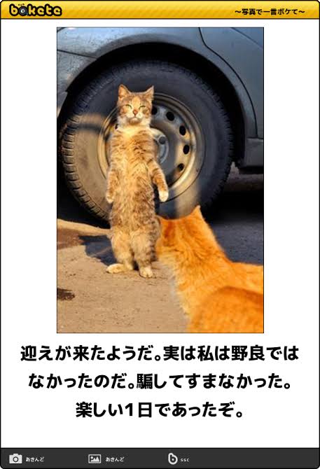 動物のboketeを貼るトピpart6