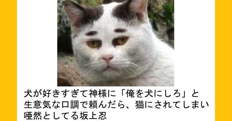 動物のboketeを貼るトピpart6