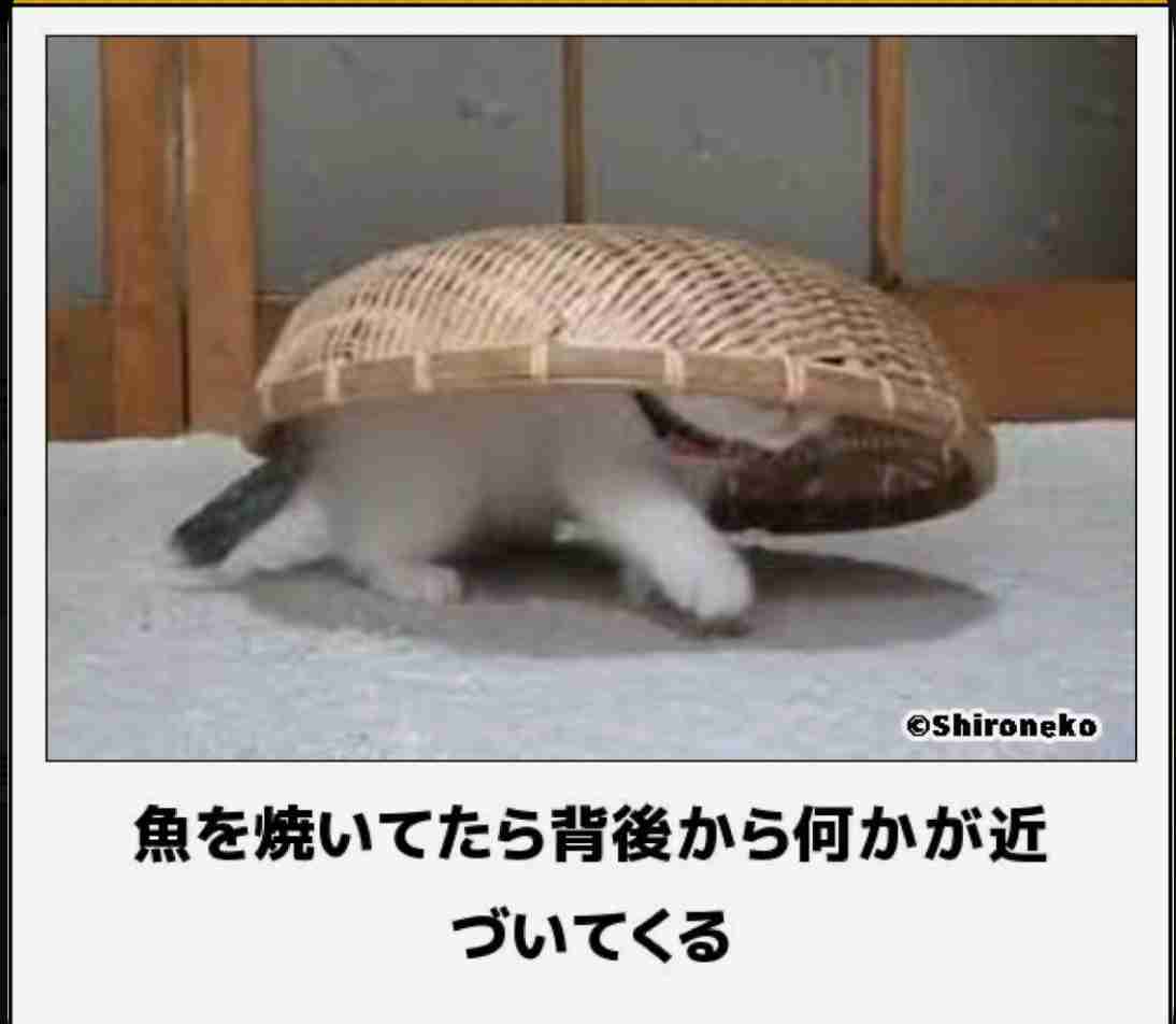 動物のboketeを貼るトピpart6