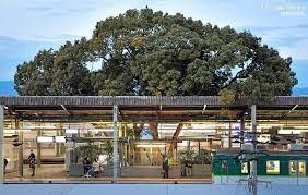 京阪ユーザー集まれ~🎵
