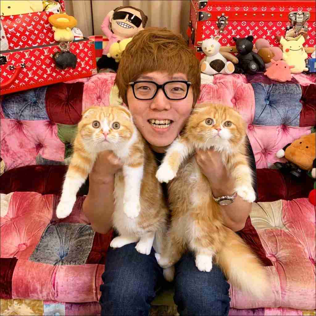 きょうだいの猫ちゃん飼ってる方