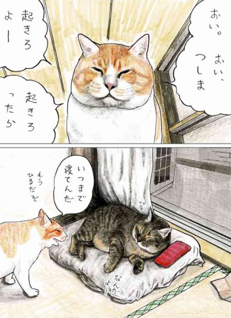 【笑える本】教えてください