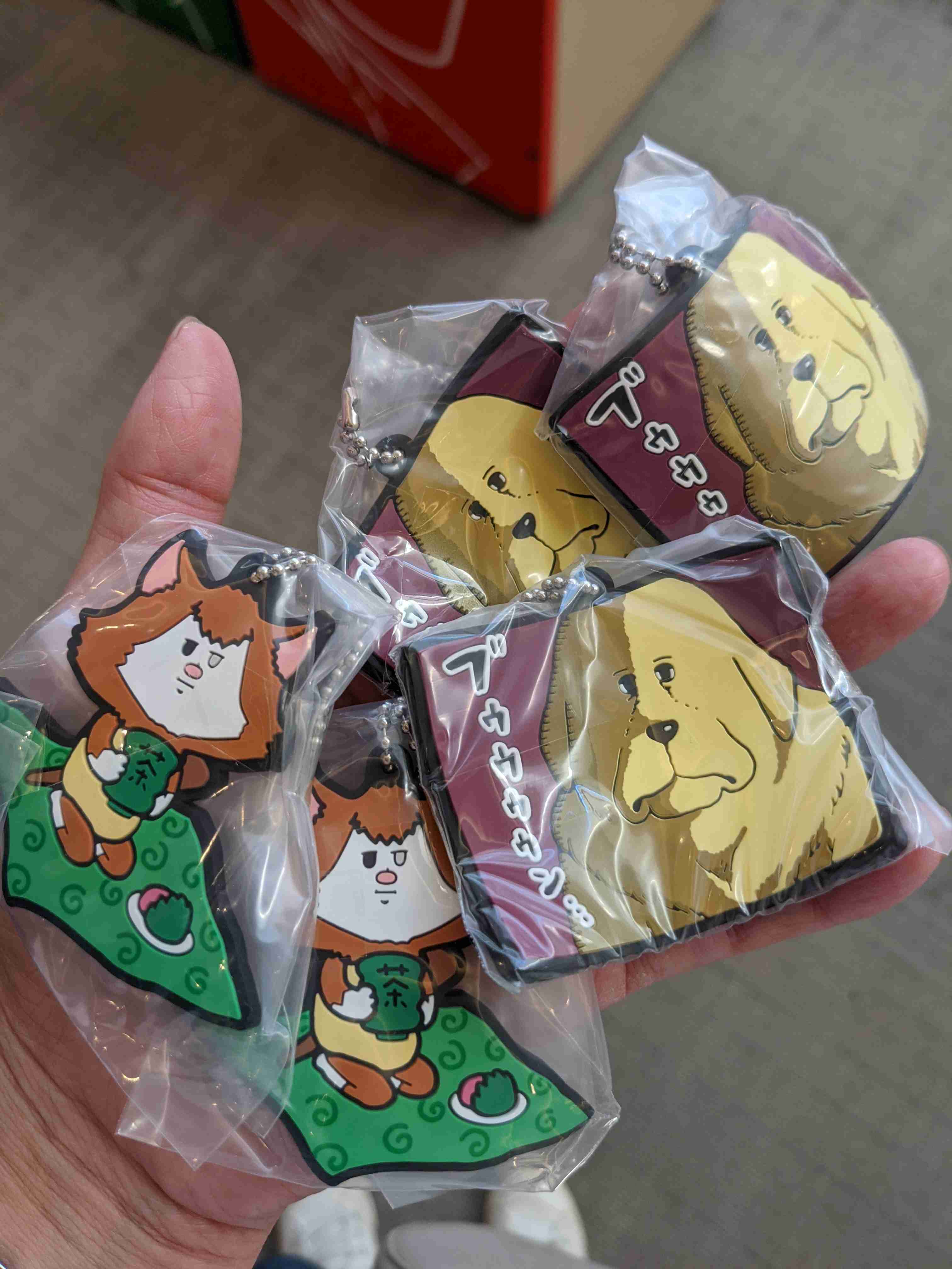 まめきちまめこさん好きな人パート６