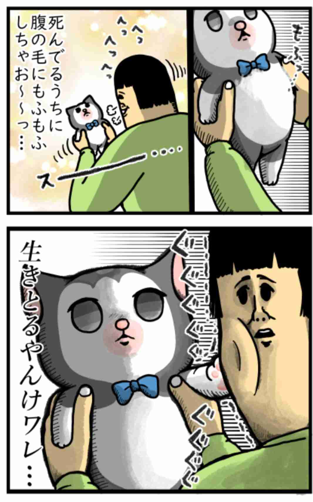 まめきちまめこさん好きな人パート６