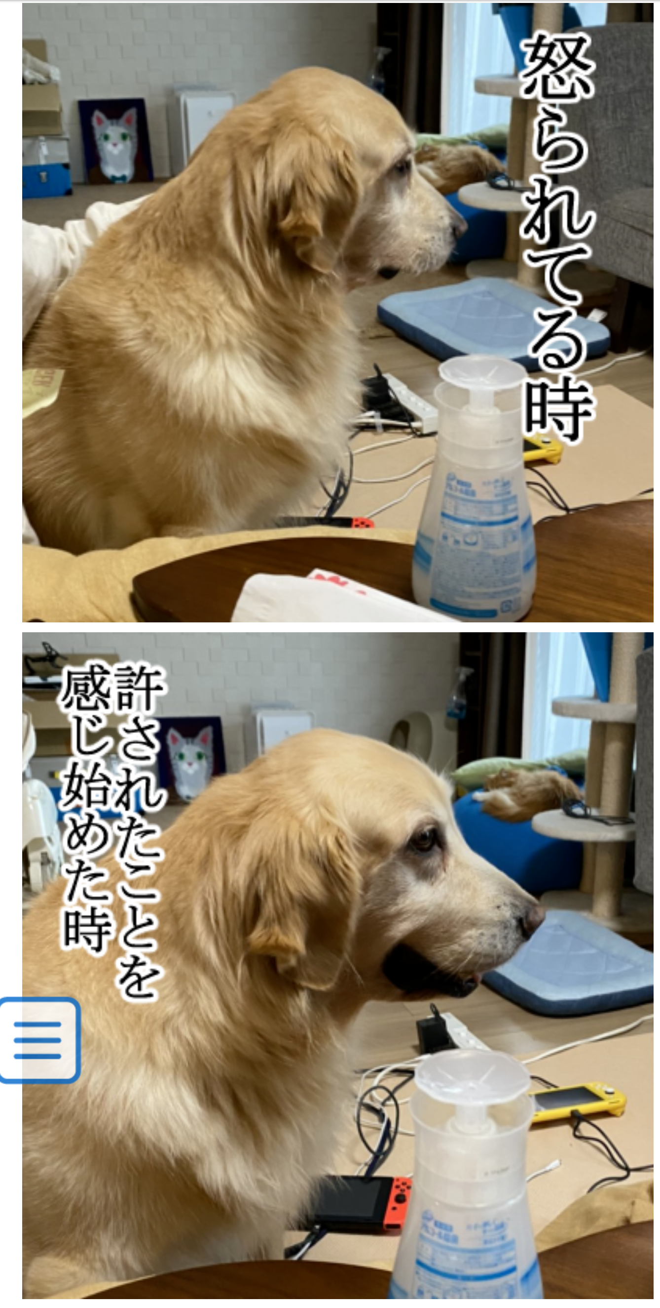 まめきちまめこさん好きな人パート６