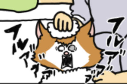 まめきちまめこさん好きな人パート６