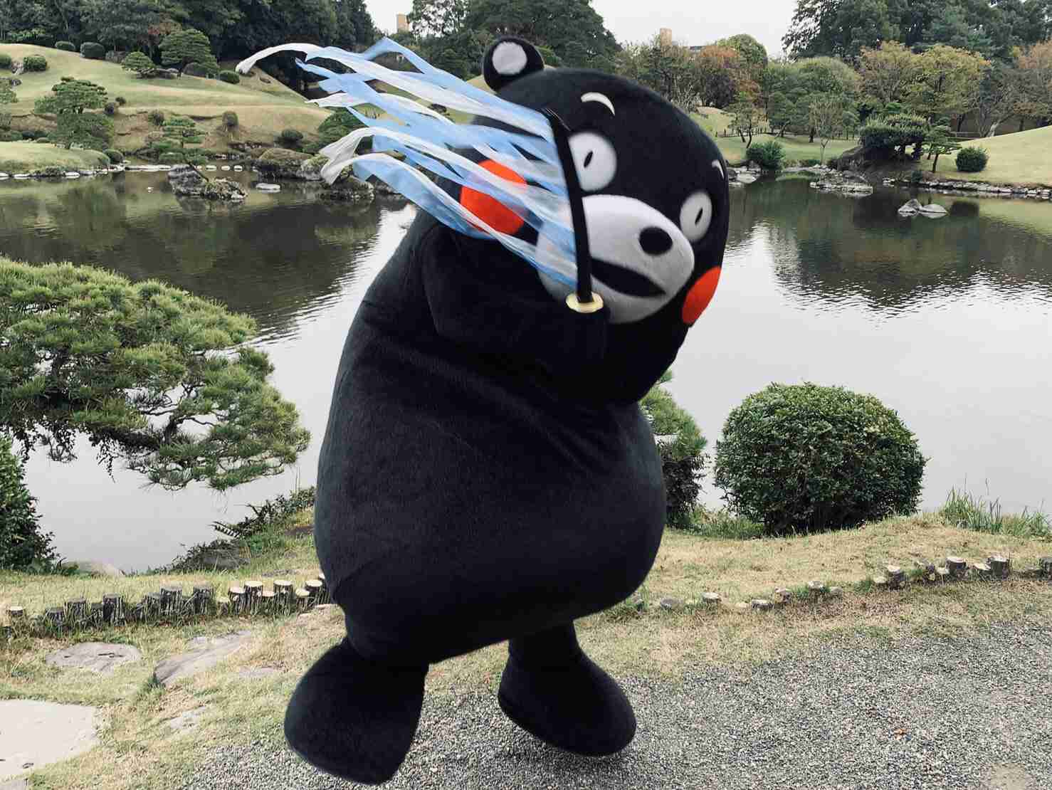 画像フォルダの中で1番可愛い画像を貼って寝よう