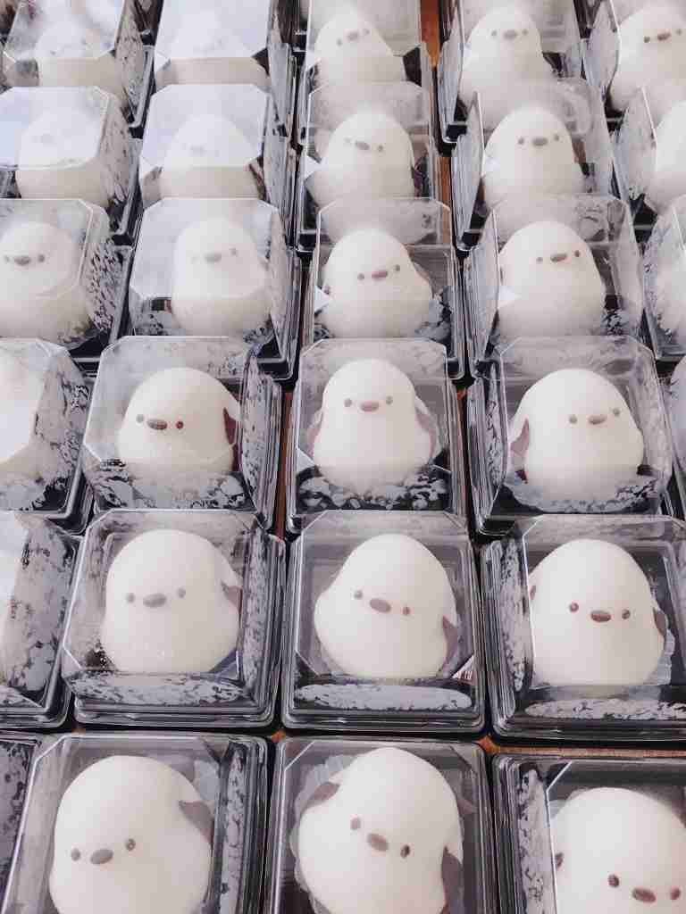 画像フォルダの中で1番可愛い画像を貼って寝よう