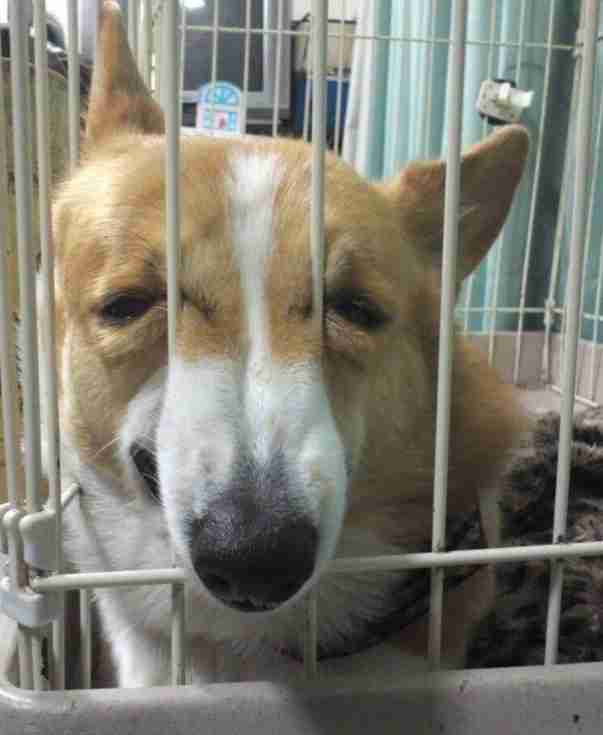 画像フォルダの中で1番可愛い画像を貼って寝よう