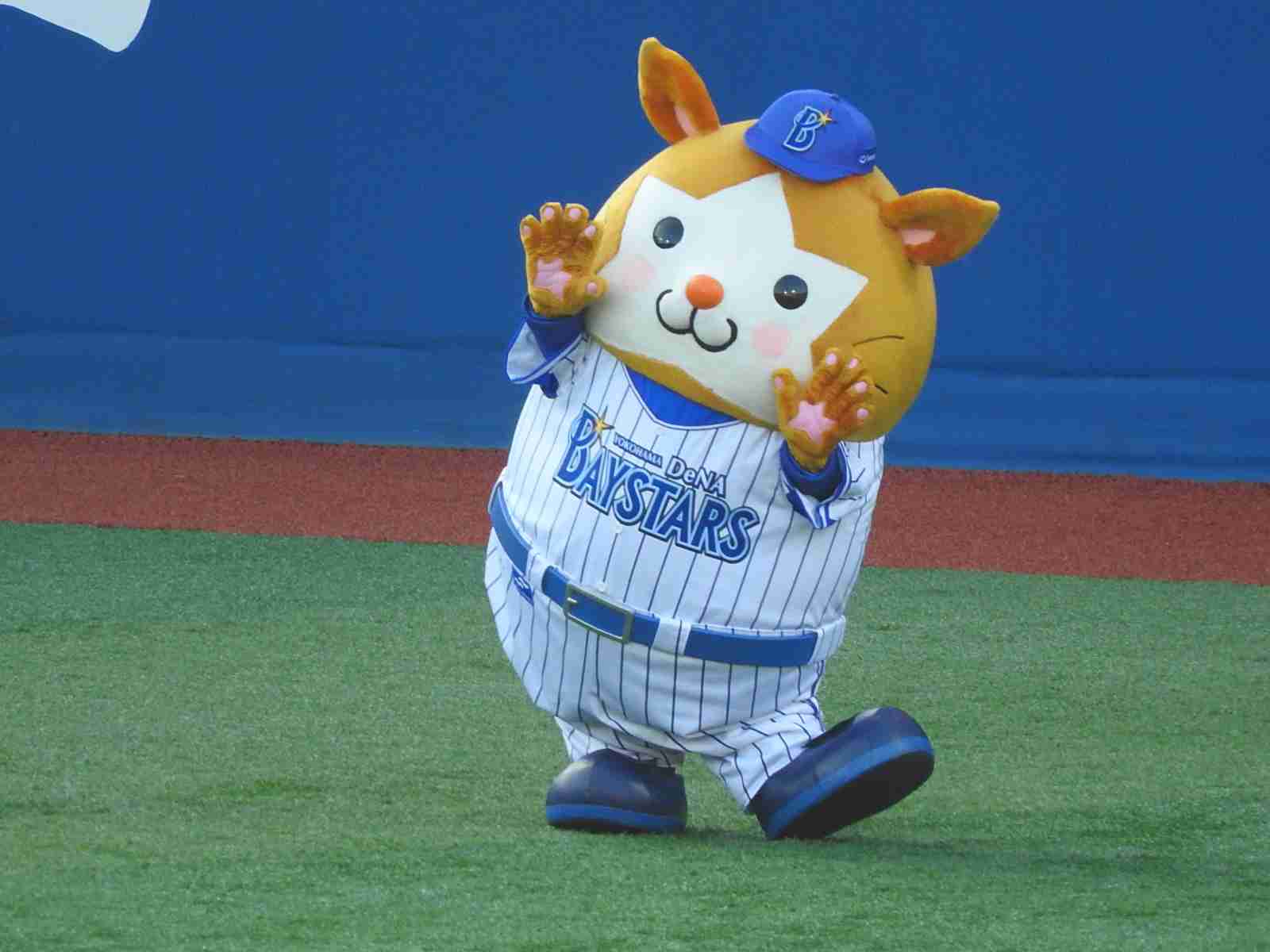 画像フォルダの中で1番可愛い画像を貼って寝よう