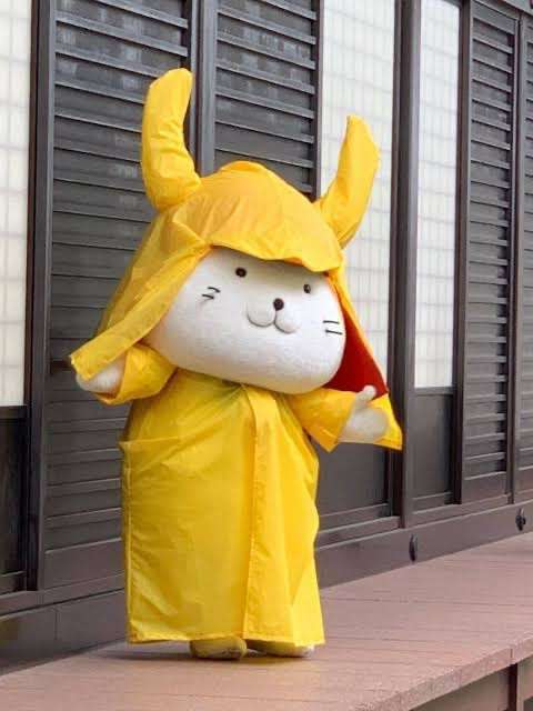 画像フォルダの中で1番可愛い画像を貼って寝よう