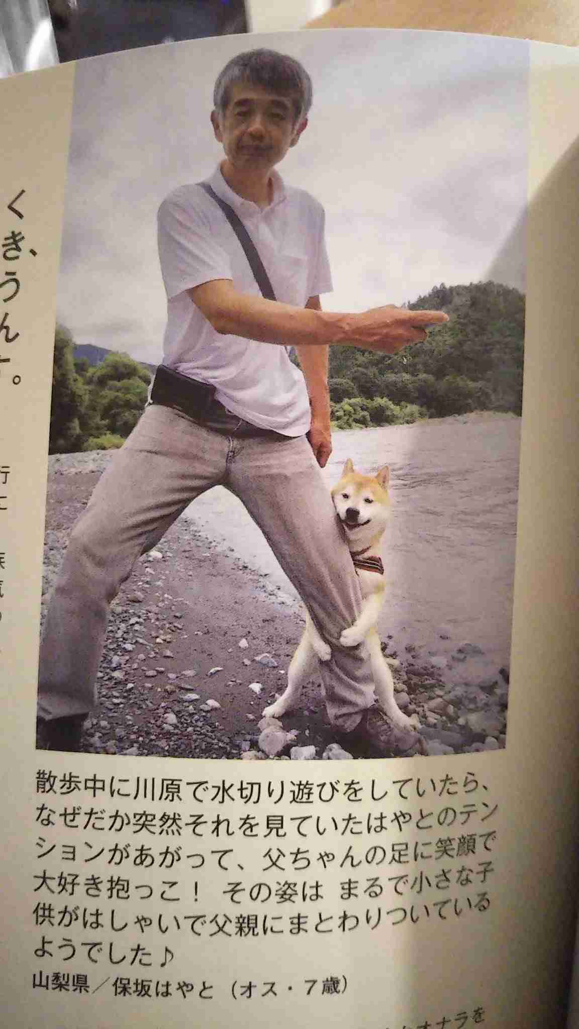 画像フォルダの中で1番可愛い画像を貼って寝よう
