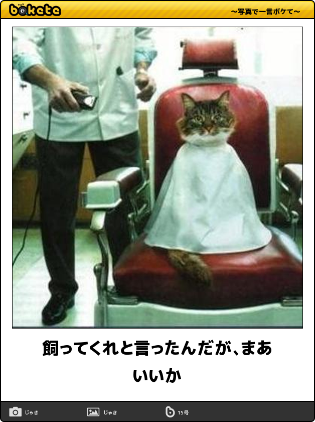 画像フォルダの中で1番可愛い画像を貼って寝よう