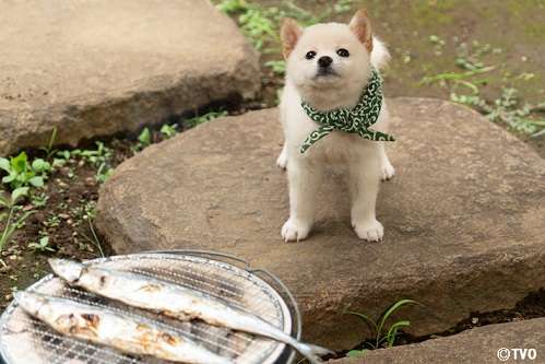 コロナ禍のナイジェリアで「赤ちゃん人身売買」が急増─児童売春や呪術のいけにえに