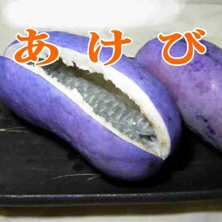 【ネタ】もしもフルーツと付き合うならどのフルーツ？