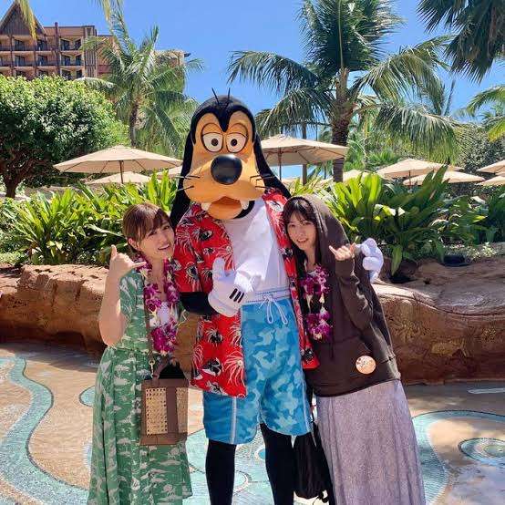 【教えて】子連れで行くディズニーランド【ください】