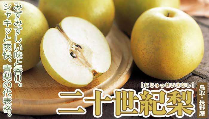 20世紀の歴史が好きな人、興味がある人