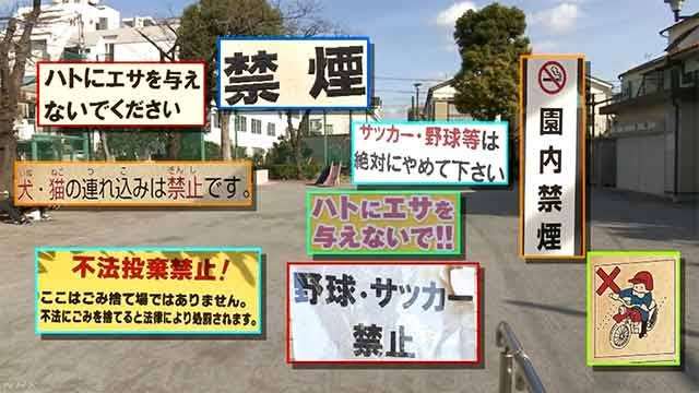 現代っ子、体格向上も握力ダウン 「64年五輪世代」に比べ スポーツ庁