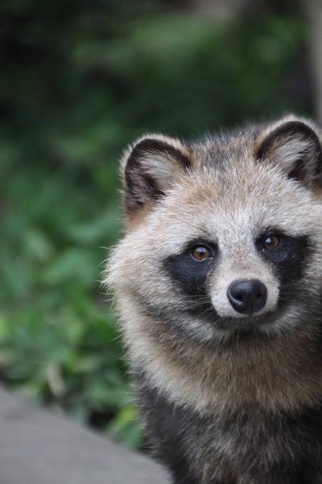 男ウケ総合 2020 秋