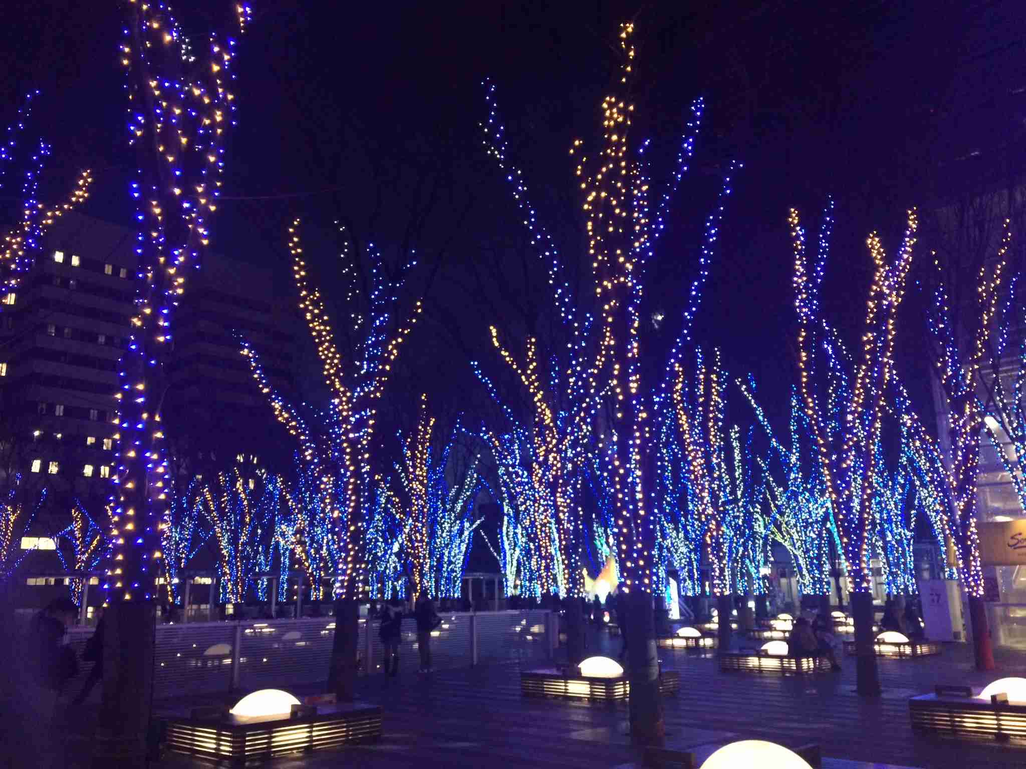 イルミネーションを見てみたい