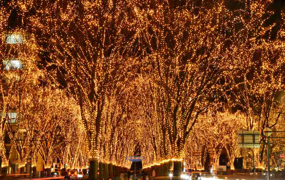 イルミネーションを見てみたい