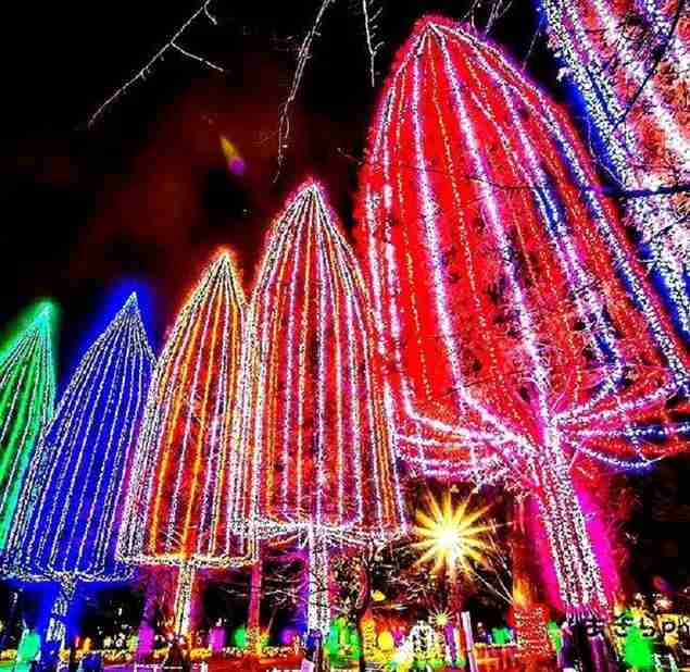 イルミネーションを見てみたい