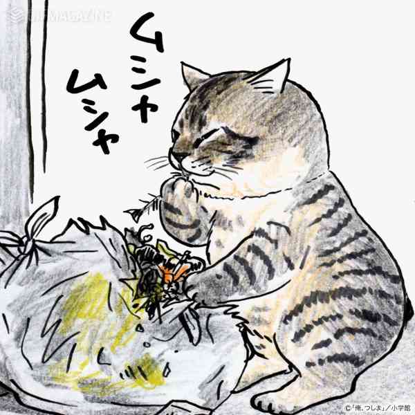 自分に似てる画像を貼って女子会に参加するトピ