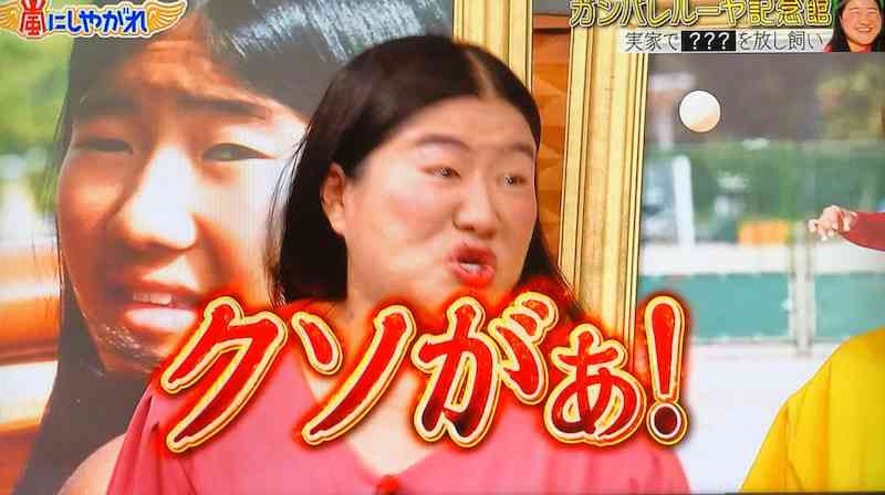 自分に似てる画像を貼って女子会に参加するトピ