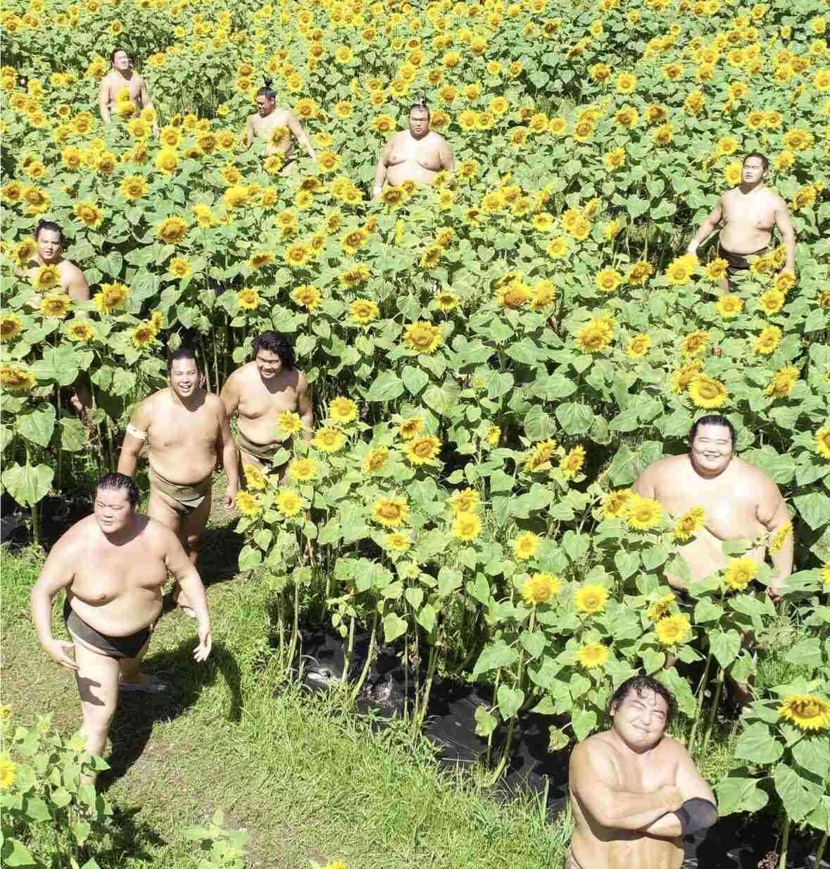 自分に似てる画像を貼って女子会に参加するトピ