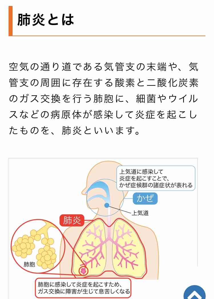 新型コロナ　東京都で新たに561人の感染確認 累計4万人超え 重症者は67人に
