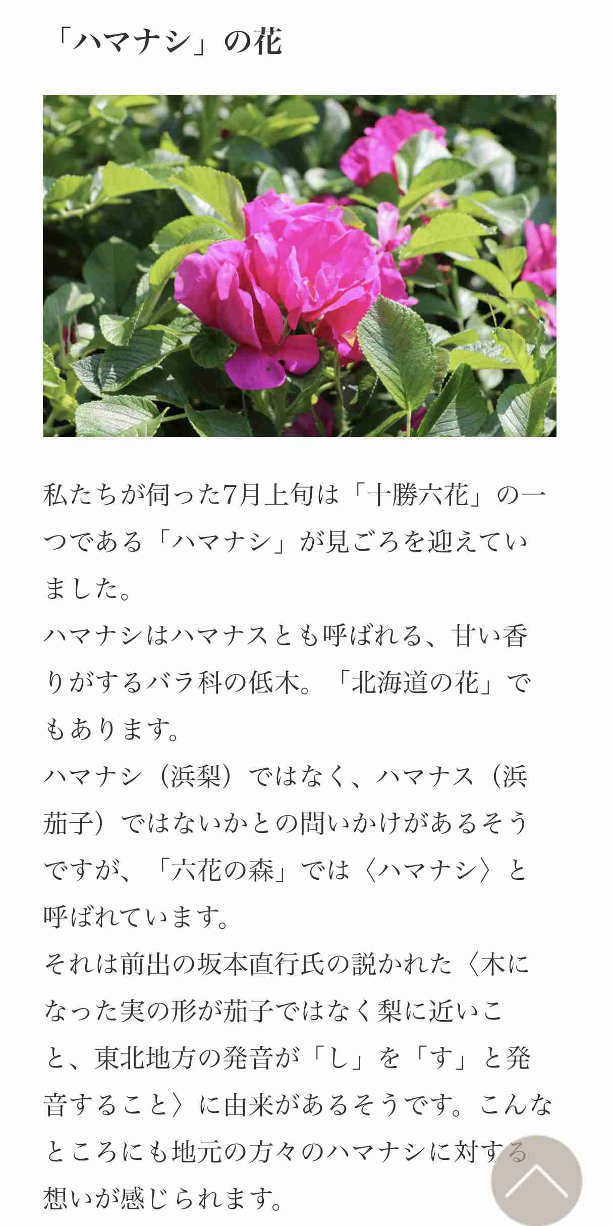 北海道銘菓「六花亭」「柳月」を語りましょう