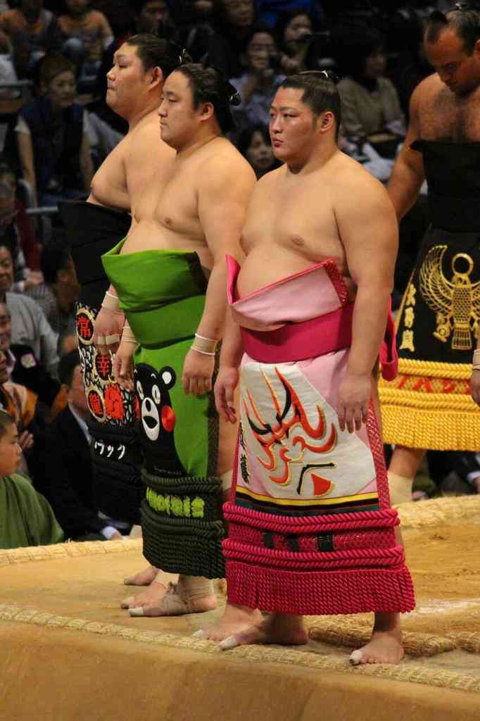 朝乃山無念の初休場、右肩三角筋挫傷で4週間の治療