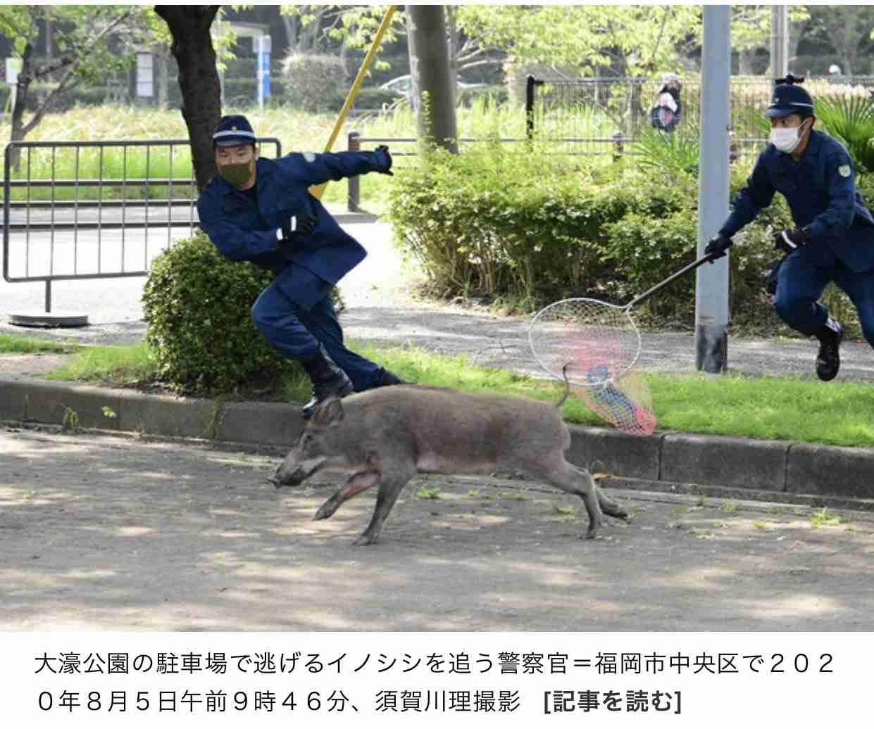 【ネタ】誰かが貼ってくれた画像にただひたすら突っ込むトピ Part3