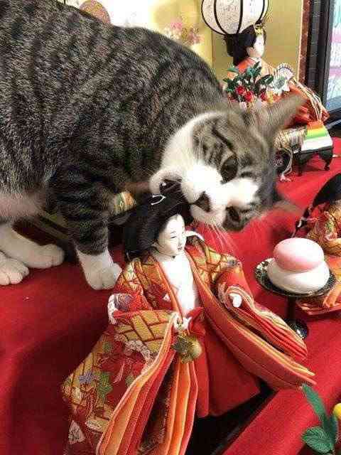 【ネタ】誰かが貼ってくれた画像にただひたすら突っ込むトピ Part3